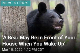 Odd Reason for Japan's Uptick in Bear Attacks: Cloudy Skies