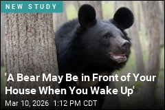 Odd Reason for Japan's Uptick in Bear Attacks: Cloudy Skies
