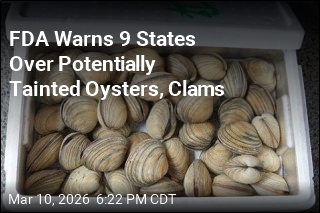 FDA Warns 9 States Over Potentially Tainted Oysters, Clams
