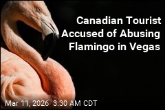 Canadian Tourist Accused of Flamingo Abuse Ordered to Stay in Vegas