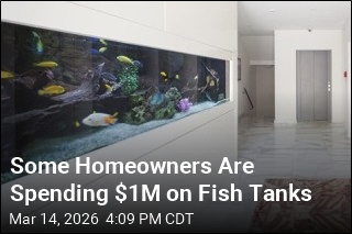 Luxury Homeowners Are Going All-In on Aquariums