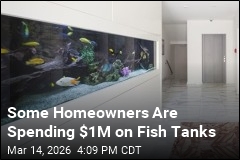 Luxury Homeowners Are Going All-In on Aquariums