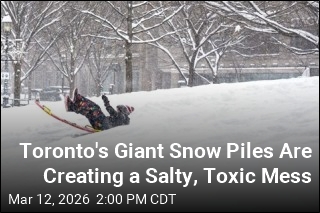 Toronto's Giant Snow Piles Are Creating a Salty, Toxic Mess