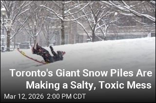 Toronto's Giant Snow Piles Are Creating a Salty, Toxic Mess