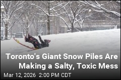 Toronto's Giant Snow Piles Are Creating a Salty, Toxic Mess