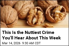 $50K in Packaged Walnuts Stolen From Bronx Trailers