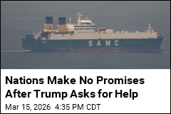 Nations Stay Noncommittal After Trump's Request for Help