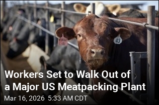 Workers at Major Meatpacking Plant Have Beef, Set to Strike