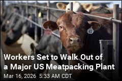 Workers at Major Meatpacking Plant Have Beef, Set to Strike