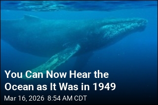 You Can Now Hear the Ocean as It Was in 1949