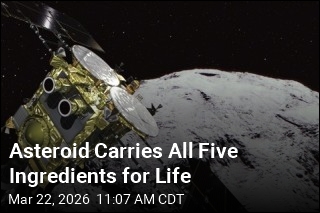 Asteroid Carries All Five Ingredients for Life