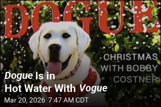 Dogue Is in Hot Water With Vogue