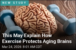 This May Explain How Exercise Protects Aging Brains