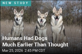 Ancient DNA Shows Humans Lived With Dogs Before Farming