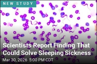 Scientists Report Finding That Could Solve Sleeping Sickness