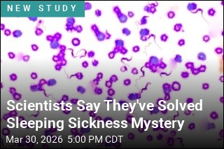 Scientists Report Finding That Could Solve Sleeping Sickness