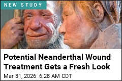 Neanderthals May Have Used Antibiotics
