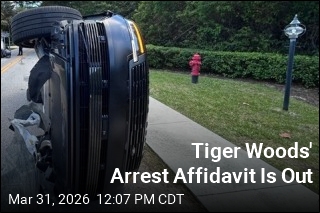 Tiger Woods' Arrest Affidavit Is Out