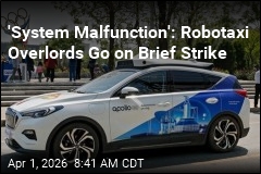 'System Malfunction:' Robotaxi Overlords Go on Brief Strike