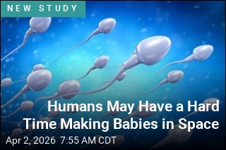 Humans May Have a Hard Time Making Babies in Space