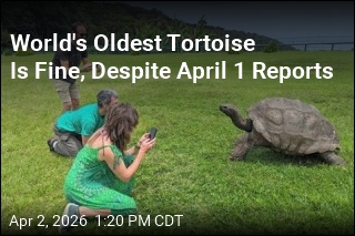 World's Oldest Tortoise Is Fine, Despite April 1 Reports