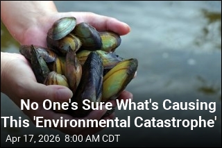 Mystery Die-Off Threatens Freshwater Mussels