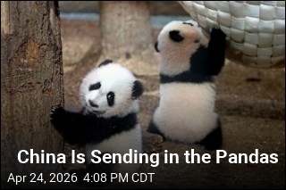 Pandas Will Return to Atlanta