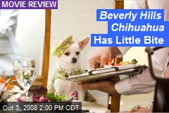 Beverly Hills Chihuahua Has Little Bite