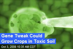 Gene Tweak Could Grow Crops in Toxic Soil