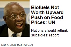 Biofuels Not Worth Upward Push on Food Prices: UN