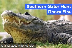 Southern Gator Hunt Draws Fire