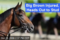 Big Brown Injured, Heads Out to Stud