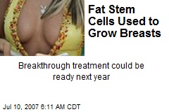 Fat Stem Cells Used to Grow Breasts