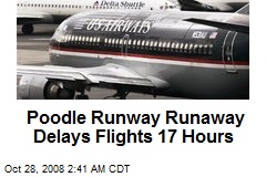Poodle Runway Runaway Delays Flights 17 Hours