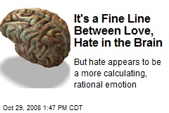 It's a Fine Line Between Love, Hate in the Brain