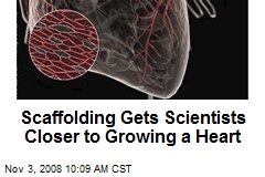 Scaffolding Gets Scientists Closer to Growing a Heart