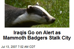 Iraqis Go on Alert as Mammoth Badgers Stalk City
