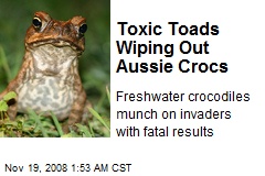 Toxic Toads Wiping Out Aussie Crocs