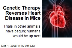 Genetic Therapy Reverses Heart Disease in Mice