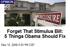 Forget That Stimulus Bill: 5 Things Obama Should Fix