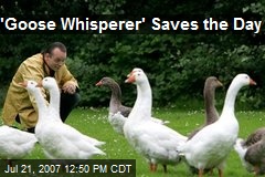 'Goose Whisperer' Saves the Day