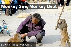 Monkey See, Monkey Beat