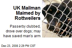 UK Mailman Maimed by Rottweilers