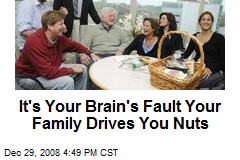 It's Your Brain's Fault Your Family Drives You Nuts