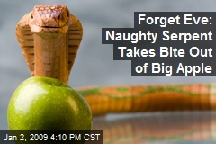 Forget Eve: Naughty Serpent Takes Bite Out of Big Apple