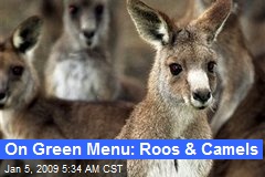 On Green Menu: Roos &amp; Camels