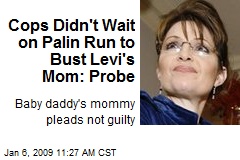 Cops Didn't Wait on Palin Run to Bust Levi's Mom: Probe