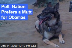 Poll: Nation Prefers a Mutt for Obamas