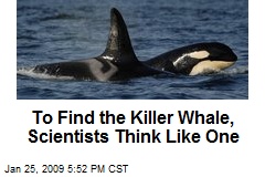 To Find the Killer Whale, Scientists Think Like One