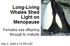 Long-Living Whales Shed Light on Menopause